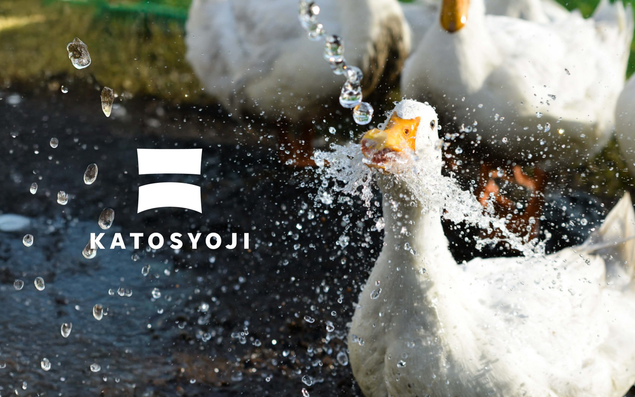 株式会社加藤商事ロゴマークデザイン